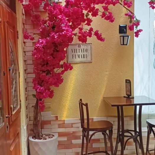 salvador (3)